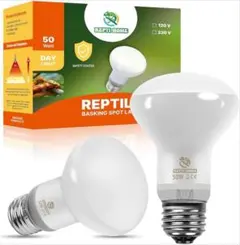 Item thumbnail for item 343919c4-931b-4c55-89f4-b49cbbbebe1e