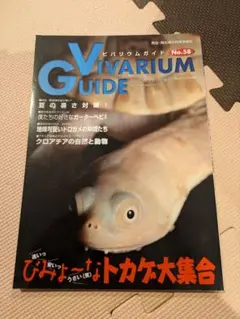 2025年最新】ビバリウムガイドの人気アイテム - メルカリ