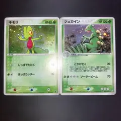 ポケモンカード キモリ 構築済みスターター キモリデッキ 003/019 7y