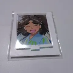 忍たま乱太郎　花やしき　ミニアクリルスタンド　竹谷八左ヱ門