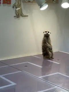 ロータス様