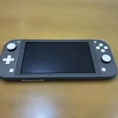 R*u様 Nintendo Switch Lite グレー 本体　ジャンク