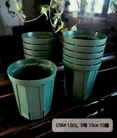 ∇カーメン君紹介○スリット鉢 CSM-150Ｌ 5号 15㎝ 10個 兼弥産業のサムネイル