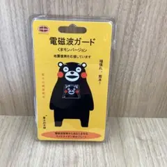 熊半身 磁気ゼロ基板