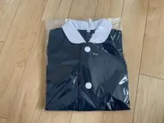 Item thumbnail for item 5466c293-ba19-4256-acf1-e41a20490e94