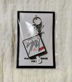 2026年最新】ボイスキーホルダー straykidsの人気アイテム - メルカリ