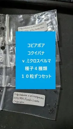 2026年最新】コピアポア 種の人気アイテム - メルカリ