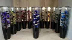 cygnus 8888様 リクエスト 2点 まとめ商品