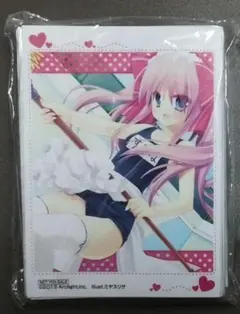 ホビーステーション パンダ スリーブ 未使用品 ホビステ HBSTアドバンスドサプライスリーブ フロストガード : ホビー
