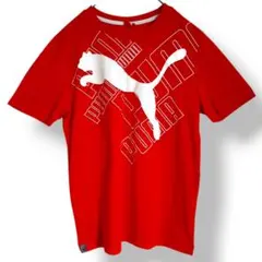 【極美品】プーマ 半袖ビッグロゴTシャツ メンズM レッド 速乾ドライのサムネイル