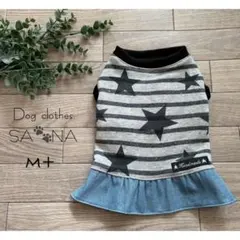 Item thumbnail for item b717d5ef-17f9-4baf-8daf-2660b8c2180b