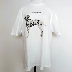 Item thumbnail for item 0fccde41-42b9-4d0e-9371-33d89b854dfb