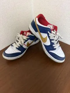 NIKE DUNK LOW PRO IW QS