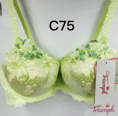 トリンプ プレミアム レッドレーベル0073ブラジャー 単品C75
