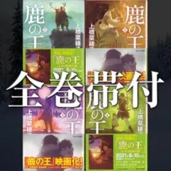 新品ケース付　精霊の守り人　1期+2期+最終章　全巻セット 精霊の守り人 1期➕2期➕最終章 DVD 全巻