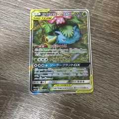 フシギバナ&ツタージャGX（SR）066 リミックスバウト | Poketrage