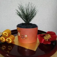 Item thumbnail for item 23665cbb-074d-4f95-93f8-f19a585191f6