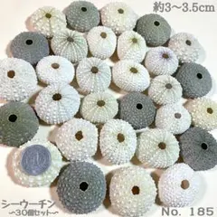 くぅちゃん様専用／2点おまとめ購入／シーウーチン　〜30個セット〜　No.185