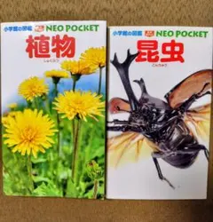 NEO POCKET 植物 昆虫 図鑑 2冊セット