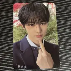 ALD1 EUPHORIA アンシン Jewel トレカ