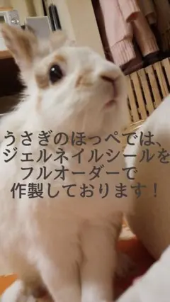 【フルオーダー・セミオーダー受け付けページ】ジェルネイルシール＊うさぎのほっぺ