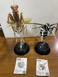いきもの大図鑑 カマキリ オオスズメバチ セット