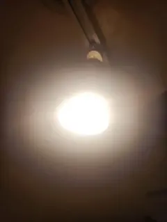 ダクトレール用スポットライト　電球つき