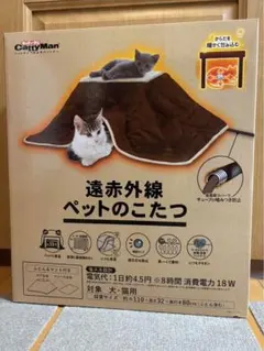 Item thumbnail for item 39384b25-0e4d-46e4-ba52-e6e8ab3e9a56