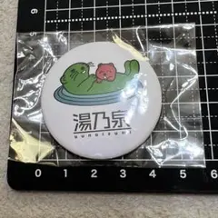 草加健康センター ラッコガチャ 缶バッジ④ ラッコ親子のサムネイル