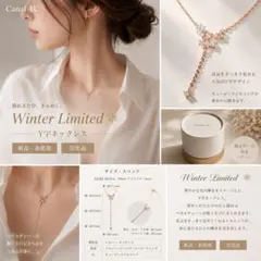 新品Canal 4℃ Winter Limited Y字ネックレス 限定ケースのサムネイル
