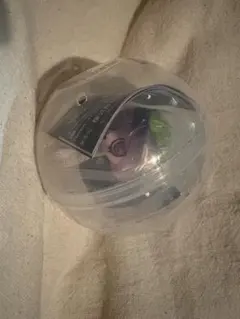 ウイルスイーツ 甘味処 かしわ餅