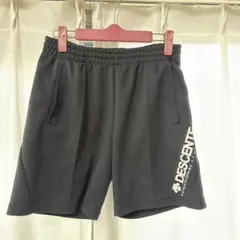 デサント バレーボール