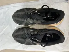 NIKEストラクチャー25