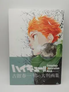 ハイキュー!! Complete Illustration … 3-0409-2