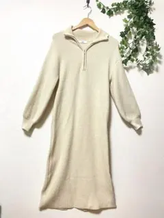 最終値下げ！Discoat 厚手 ジップ ニットワンピース Fサイズ 暖かい