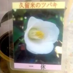 タマ様 リクエスト 2点 まとめ商品