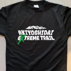 Item thumbnail for item 45e3db20-c844-4623-a53f-0c9d6b3050ed