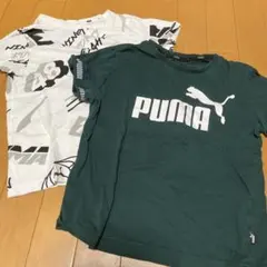 PUMA Tシャツ 2枚セット ダークグリーン・ホワイト