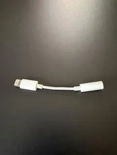 アップル純正 Apple Lightningコネクタ