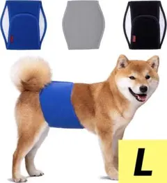 Lサイズ　犬用おむつ男の子用　再利用可能　腹バンド　3枚セット　ペット用おむつ
