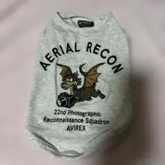 Y2Kヴィンテージ　AVIREX 鷹&龍の刺繍入りTシャツ ブラック 2XL Y2Kヴィンテージ AVIREX 鷹&龍の刺繍入りTシャツ ブラック 2XL
