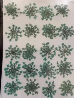 押し花素材パック　レースフラワー（水色）20個入 No1061