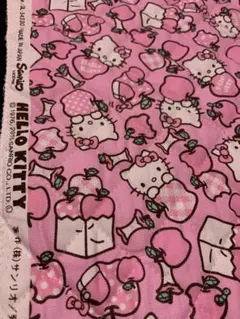 昭和ハローキティ平成レトロ廃盤サンリオ生地日焼けキティー