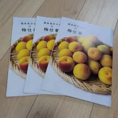 榎本美沙さんの梅仕事　1冊