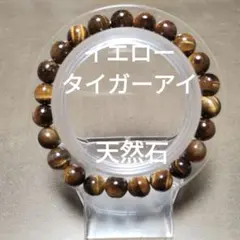 Item thumbnail for item 3f27f98b-f640-46f3-8b9b-64cdb8a8cdb8