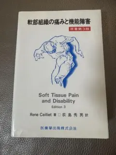 気内臓療法 チネイザン 謝明徳 マンタク・チャ ヒーリング 気功 太極拳