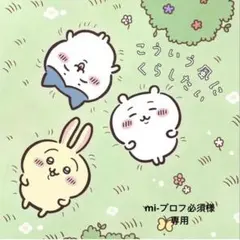 mi-プロフ必須様 リクエスト 2点 まとめ商品