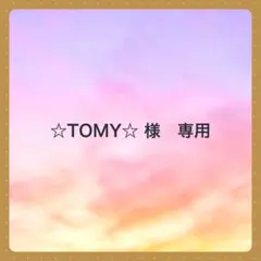 ☆TOMY☆ 様　専用です