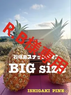 【R.B様専用】石垣島スナック&ピーチパインセット（送料込み）