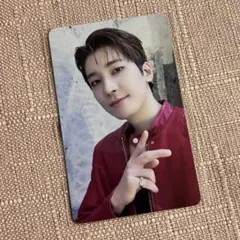 SEVENTEEN 10周年 KYOBO トレカ ウォヌ